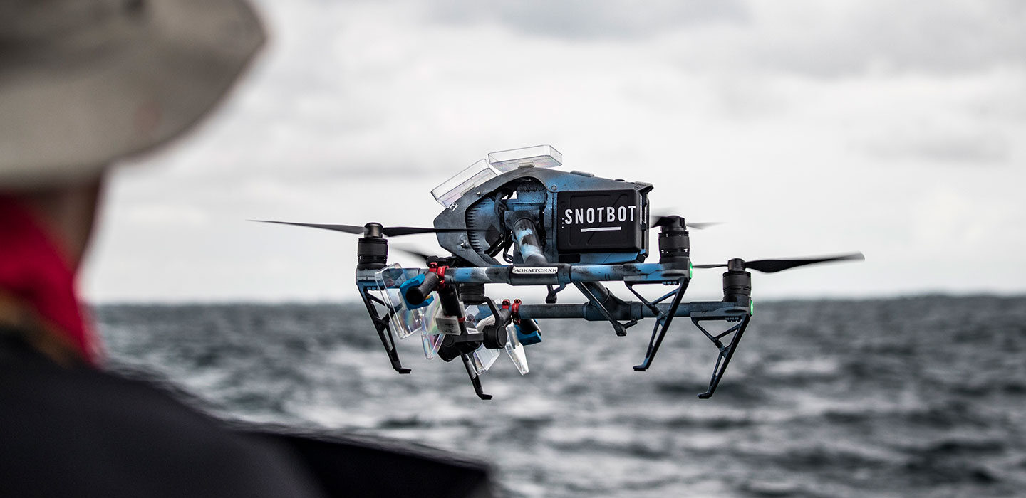 Drones and wildlife conservation