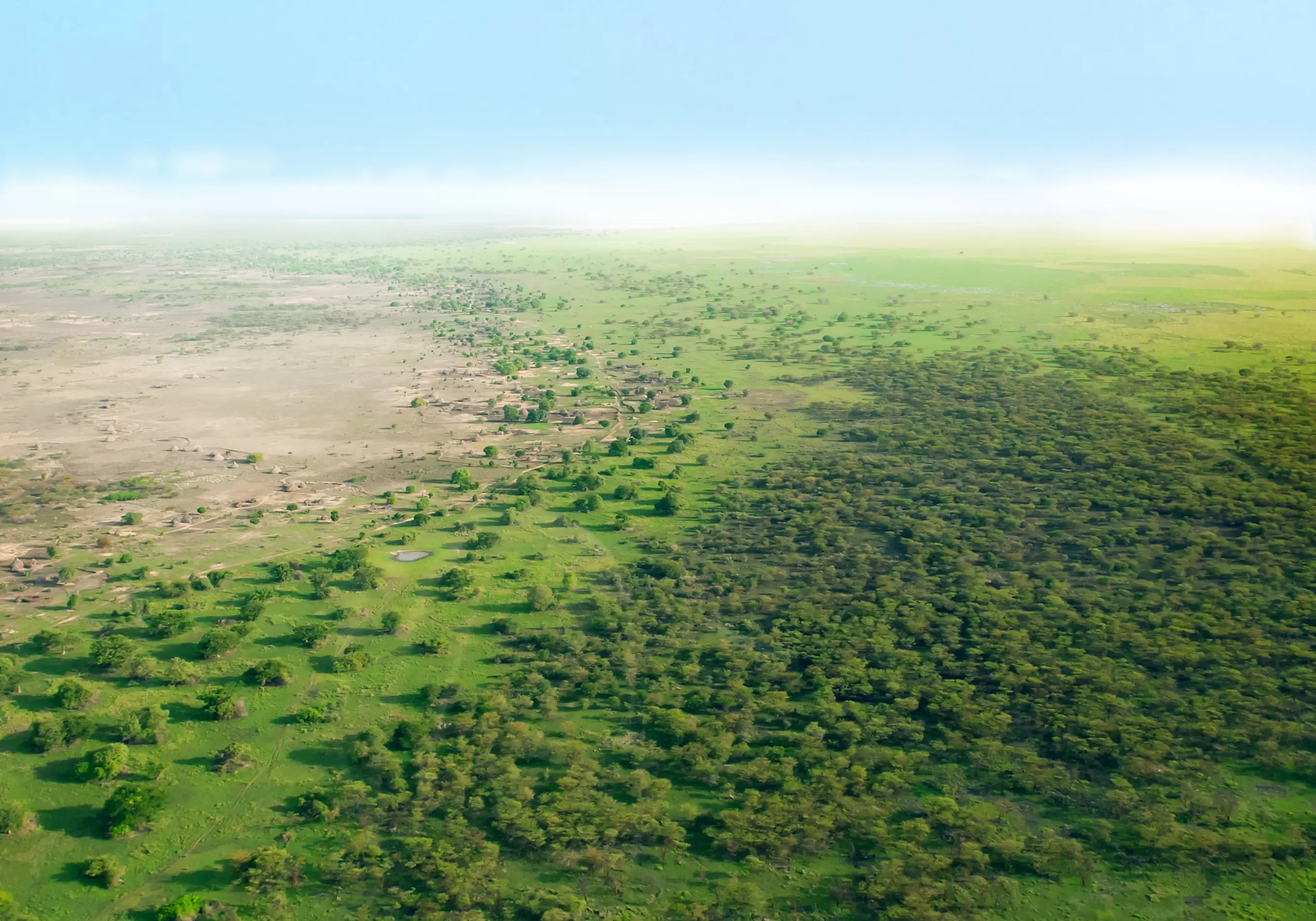 Drones to assess progress along the Great Green Wall