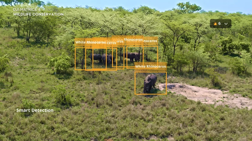 Saving the white rhino in South Africa: The case of the Sabi Nature Reserve