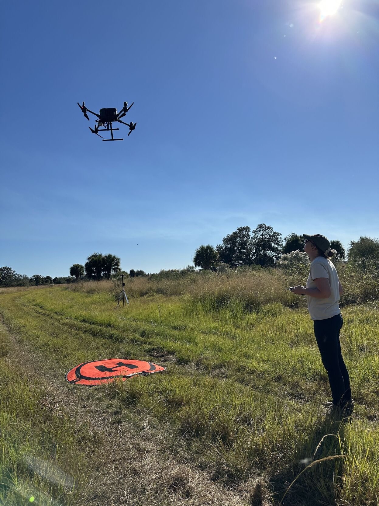 Drones in ecological research