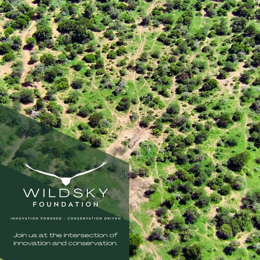Organisation seeks funding to sustain drone-based anti-poaching operations in South Africa