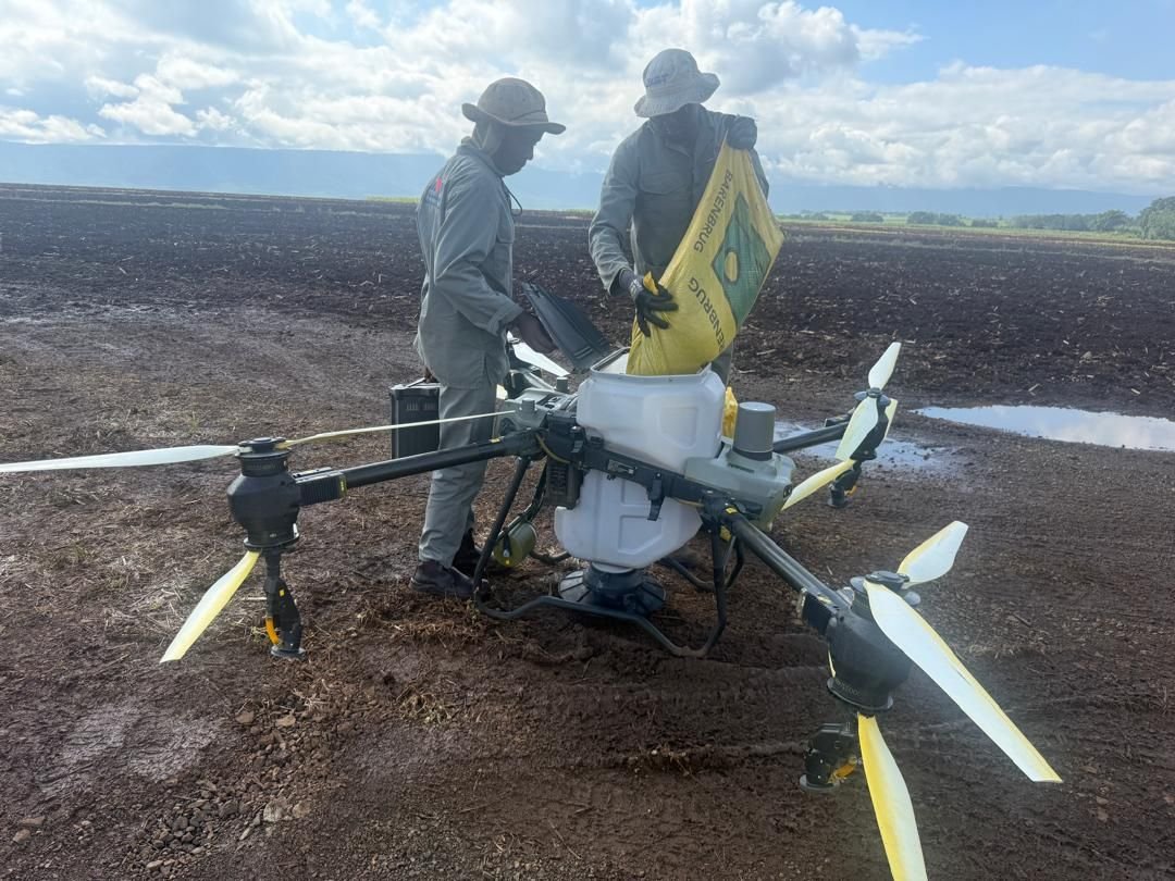 Eswatni sugar producer in drone-based planting trial