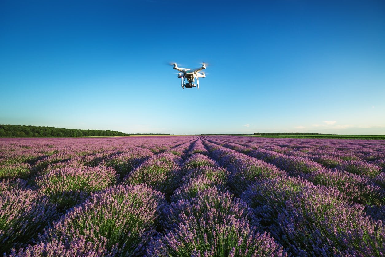 Optimising crop yields and water conservation with drone data